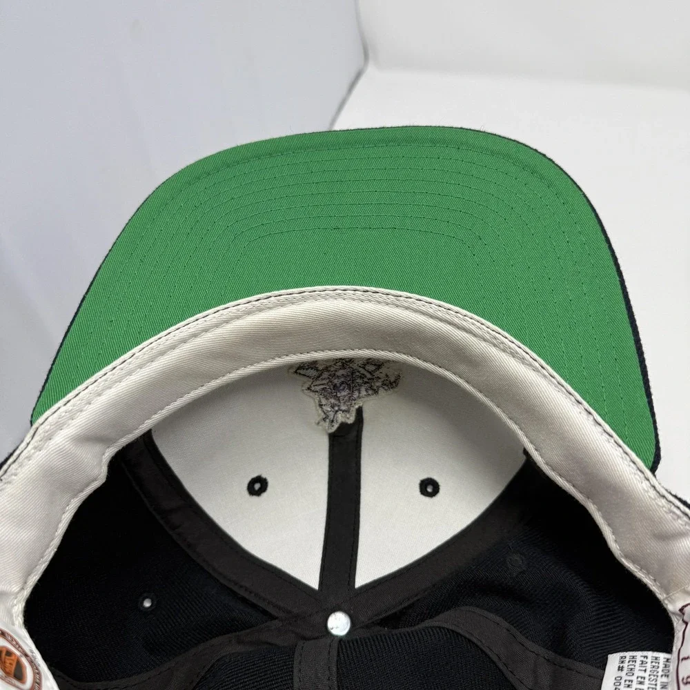 Vintage Phoenix Coyotes Hat Cap Snapback American Needle NHL Hockey Kachina 90s